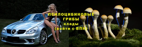 мескалин Чегем