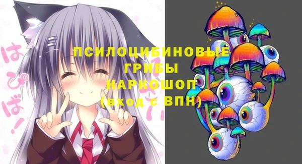 стафф Чекалин