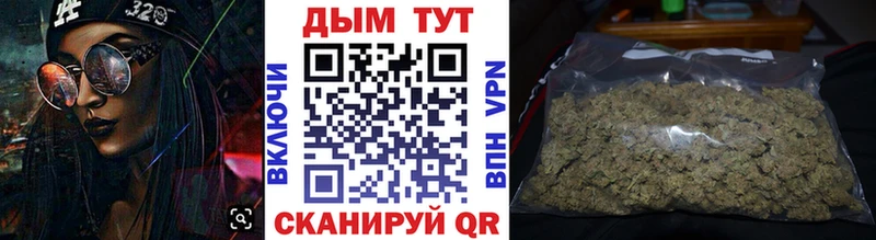 Купить где  Новосокольники  Каннабис индика 